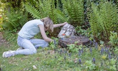 Voorbeeld van onderzoek in de natuur.